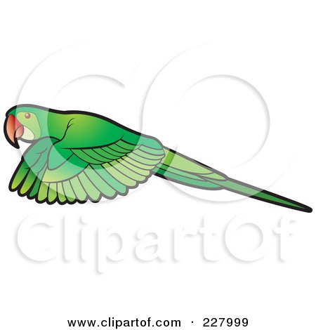 Draw A Parrot Vector, Parrot, Draw, Bird PNG and Vector with Transparent  Background for Free Download