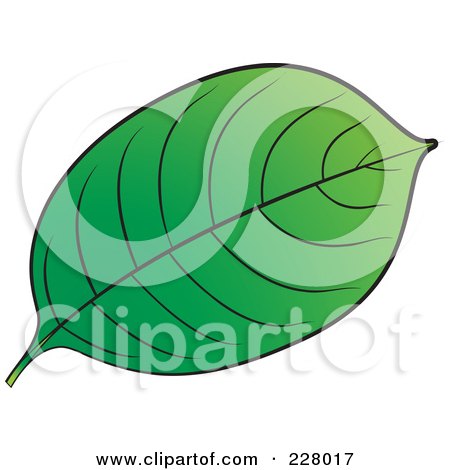 Royalty-Free (RF) Clipart Illustration of a Green Leaf by Lal Perera