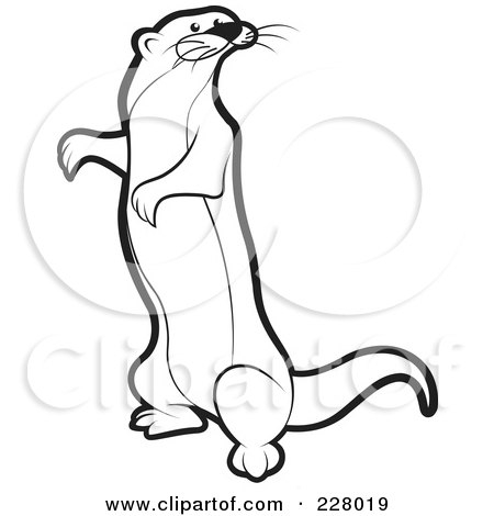 Royalty-Free (RF) Clipart Illustration of a Coloring Page Outline Of A Standing Mongoose by Lal Perera
