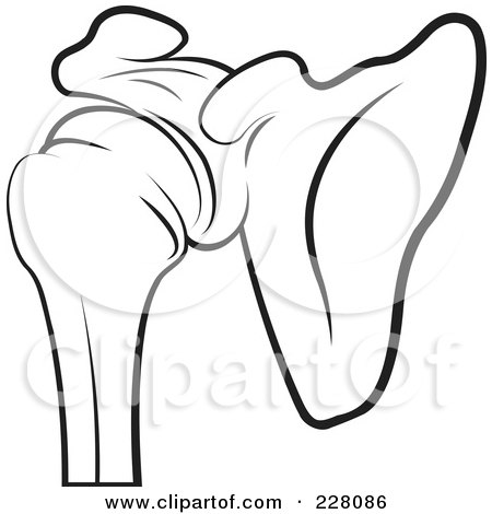 Royalty-Free (RF) Clipart Illustration of a Coloring Page Outline Of A Shoulder Joint by Lal Perera