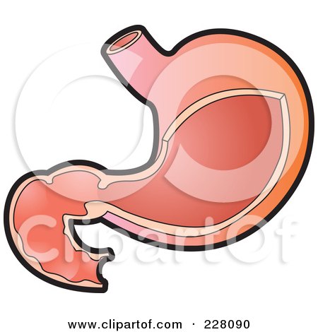 Royalty-Free (RF) Clipart Illustration of a Stomach by Lal Perera