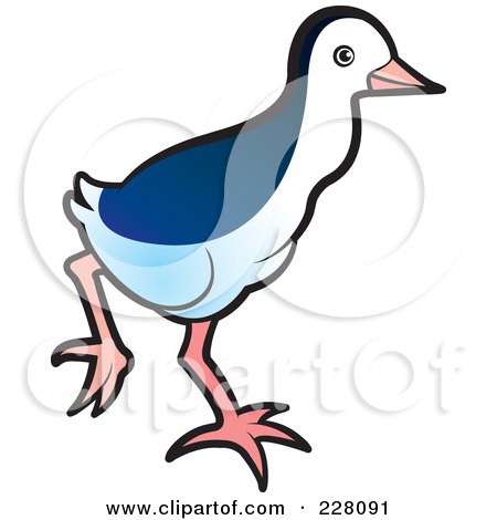 Royalty-Free (RF) Clipart Illustration of a Baby Water Hen - 2 by Lal Perera