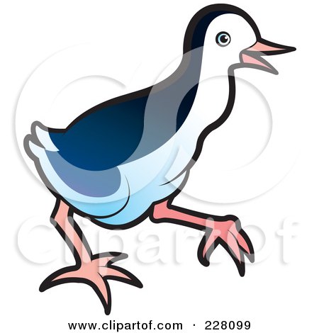 Royalty-Free (RF) Clipart Illustration of a Baby Water Hen - 1 by Lal Perera