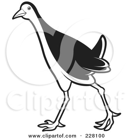 Royalty-Free (RF) Clipart Illustration of a Black And White Water Hen - 9 by Lal Perera