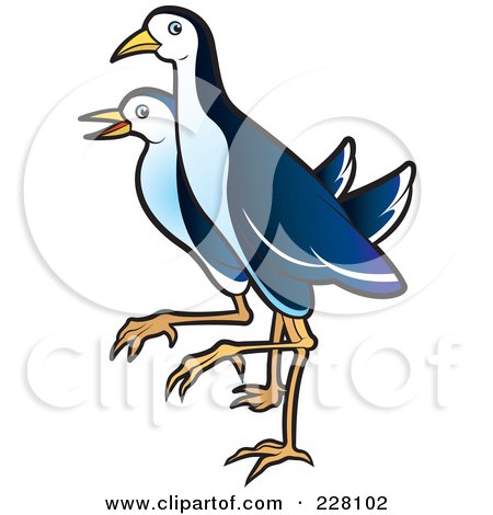 Royalty-Free (RF) Clipart Illustration of a Water Hen - 10 by Lal Perera