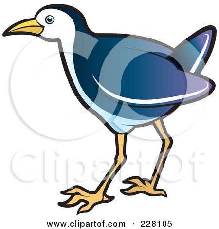 Royalty-Free (RF) Clipart Illustration of a Blue Water Hen - 6 by Lal Perera