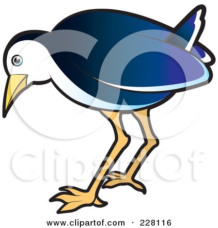 Royalty-Free (RF) Clipart Illustration of a Blue Water Hen - 8 by Lal Perera