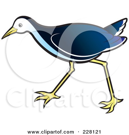 Royalty-Free (RF) Clipart Illustration of a Blue Water Hen - 2 by Lal Perera