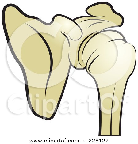 Royalty-Free (RF) Clipart Illustration of a Shoulder Joint by Lal Perera