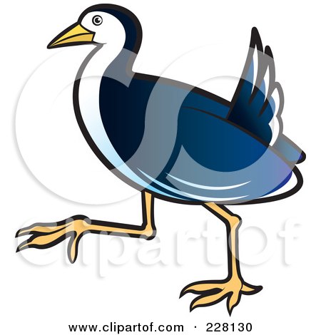 Royalty-Free (RF) Clipart Illustration of a Blue Water Hen - 3 by Lal Perera