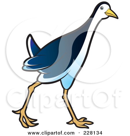 Royalty-Free (RF) Clipart Illustration of a Blue Water Hen - 9 by Lal Perera
