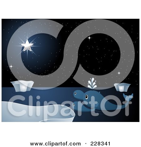 Royalty-Free (RF) Clipart Illustration of Three Whales Watching A Bright Star In A Night Sky by elaineitalia