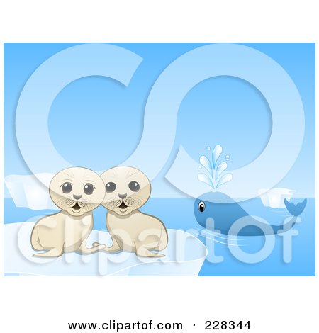Royalty-Free (RF) Clipart Illustration of Two Cute Seal Pups And A Lone Whale In The Arctic by elaineitalia