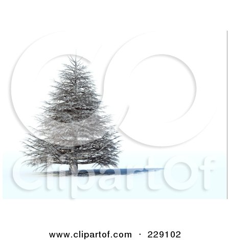 Royalty-Free (RF) Clipart Illustration of a 3d Dead Evergreen Tree by chrisroll