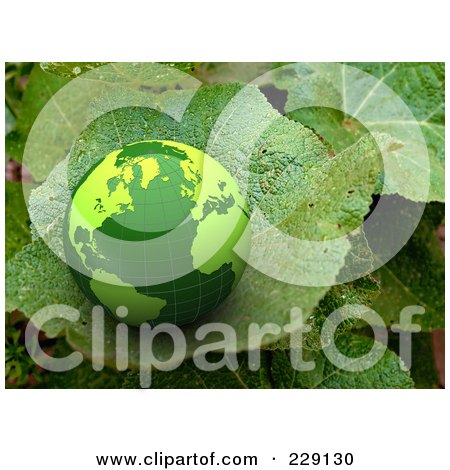 Royalty-Free (RF) Clipart Illustration of a 3d Green Globe On A Real Green Leaf by chrisroll