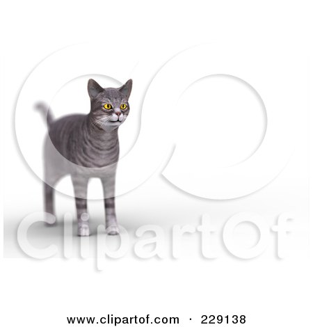 Royalty-Free (RF) Clipart Illustration of a 3d Gray Tabby Cat by chrisroll