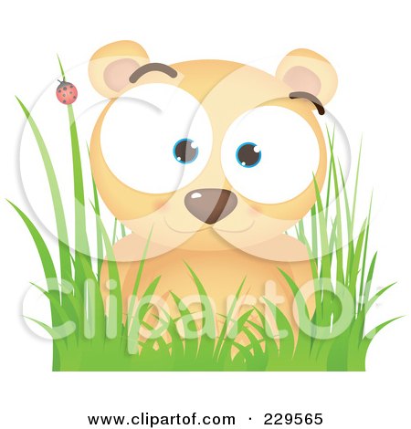 Royalty-Free (RF) Clipart Illustration of a Cute Bear In Grass Near A Ladybug by Qiun