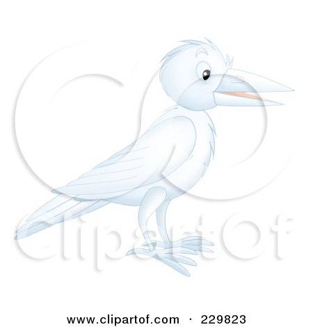 Royalty-Free (RF) Clipart Illustration of a White Crow by Alex Bannykh