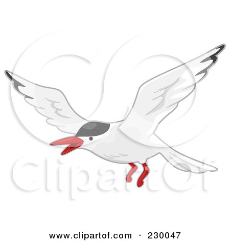Royalty-Free (RF) Clip Art Illustration of a Flying Arctic Tern by BNP Design Studio