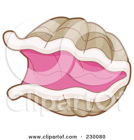 Royalty-Free (RF) Clipart Illustration of an Open Clam by BNP Design Studio