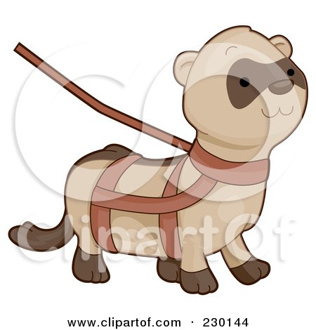 Royalty-Free (RF) Clipart Illustration of a Cute Ferret On A Harness And Leash by BNP Design Studio