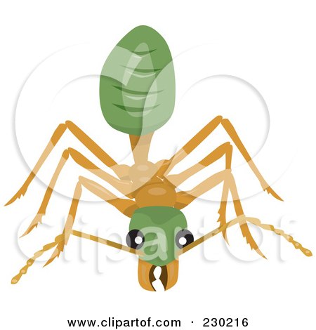 Royalty-Free (RF) Clipart Illustration of a Green And Tan Ant by Dennis Holmes Designs