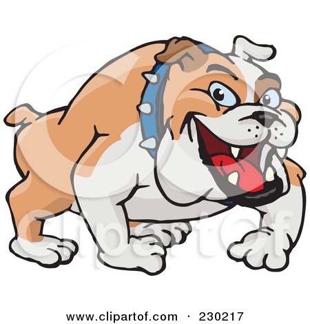 Royalty-Free (RF) Clipart Illustration of a Tan And White Bulldog Wearing A Spiked Collar by Dennis Holmes Designs