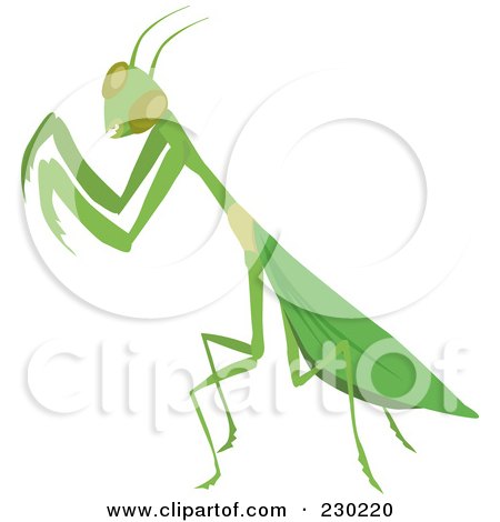 Royalty-Free (RF) Clipart Illustration of a Green Praying Mantis by Dennis Holmes Designs