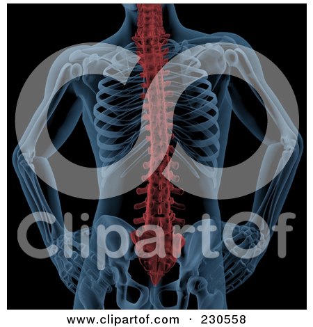 Royalty-Free (RF) Clipart Illustration of a Highlighted Skeletal Spine On Black by KJ Pargeter