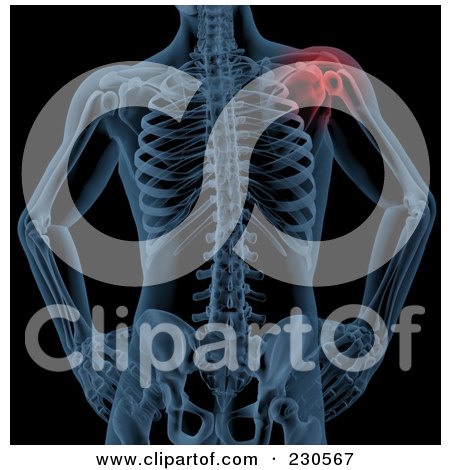 Royalty-Free (RF) Clipart Illustration of a Male Skeleton With The Shoulder Joint Highlighted, On Black by KJ Pargeter