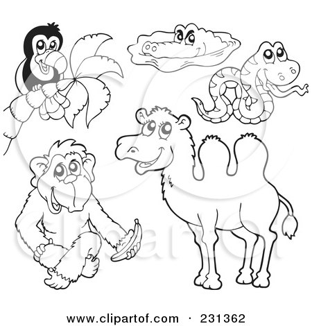 Royalty-Free (RF) Clipart Illustration of a Digital Collage Of Coloring Page Outlines Of A Toucan, Crocodile, Snake, Monkey And Camel by visekart