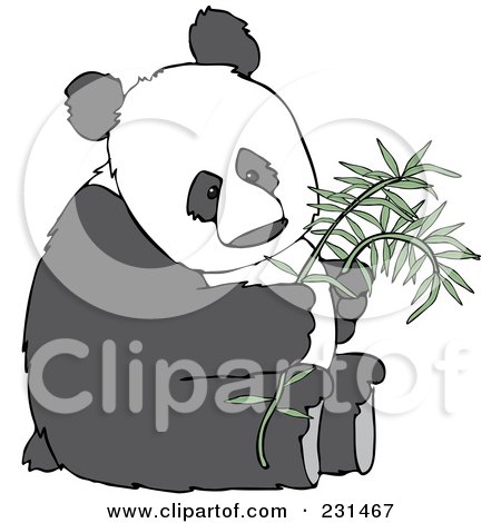 Royalty-Free (RF) Clipart Illustration of a Giant Panda Sitting And Holding A Stalk Of Bamboo by djart