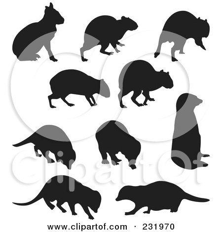 Royalty-Free (RF) Clipart Illustration of a Digital Collage Of Black And White Meerkats by Frisko