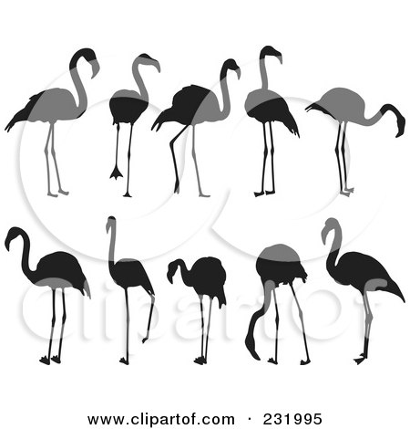 Royalty-Free (RF) Clipart Illustration of a Digital Collage Of Black And White Flamingos by Frisko