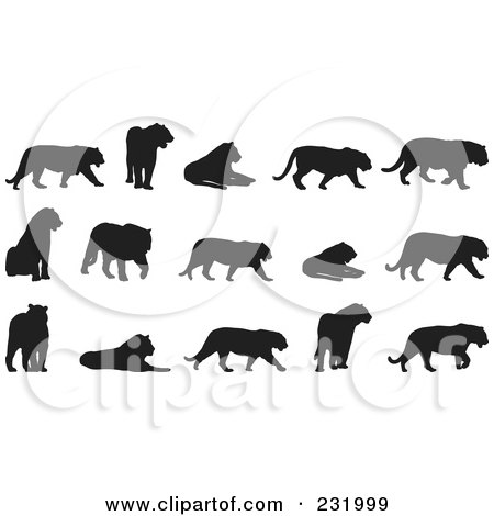 Royalty-Free (RF) Clipart Illustration of a Digital Collage Of Black And White Big Cats by Frisko