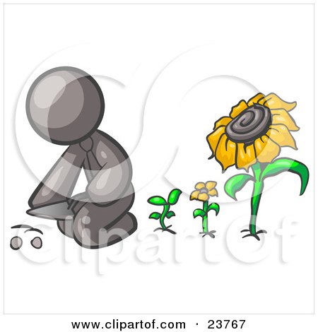 Clipart Illustration of a Gray Man Kneeling By Growing Sunflowers To Plant Seeds In A Dirt Hole In A Garden by Leo Blanchette