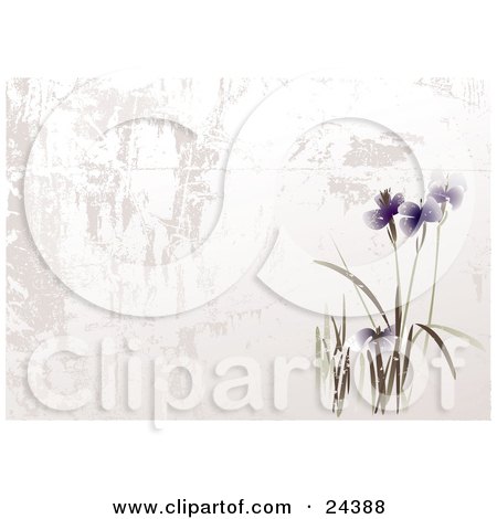 Clipart Illustration of Blooming Purple Asian Flowers In A Garden Over A Textured White And Gray Background by Eugene