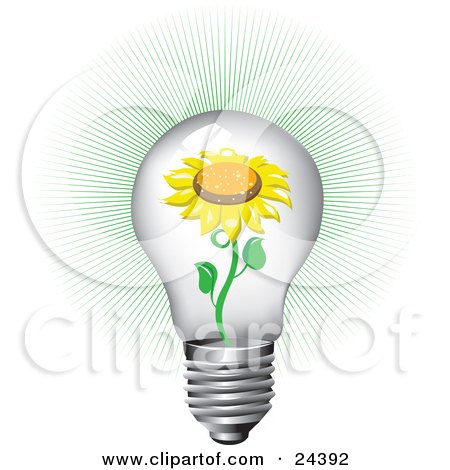 Clipart Illustration of a Blooming Yellow Sunflower Inside Of A Bright Clear Glass Lightbulb With A Green Burst by Eugene
