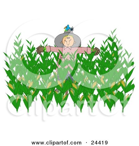 Clipart Illustration of a Nesting Bluebird In The Hat Of A Scarecrow In A Corn Field by djart