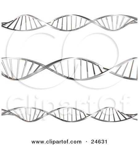 Clipart Illustration of Three Twisting Double Helix Dna Strands Spanning Horizontally Over A White Background by KJ Pargeter