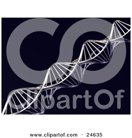Clipart Illustration of a Twisting Chrome Double Helix DNA Strand Over A Black Background, Spanning Diagonally by KJ Pargeter