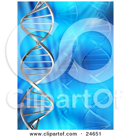 Clipart Illustration of a Twisting DNA Double Helix In Silver, Twisting Over A Blue Background With Faded Strands by KJ Pargeter