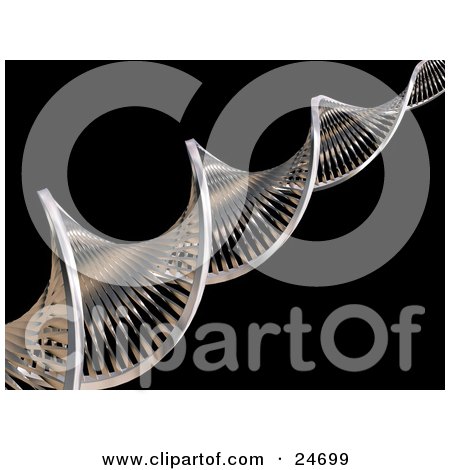 Clipart Illustration of a Twisting Chrome Double Helix Strand Of DNA Over A Black Background by KJ Pargeter