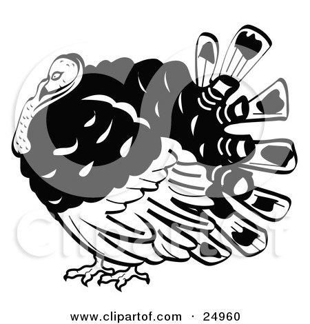Clipart Picture of a Fat Turkey Bird With His Head Tucked In His Neck by Andy Nortnik