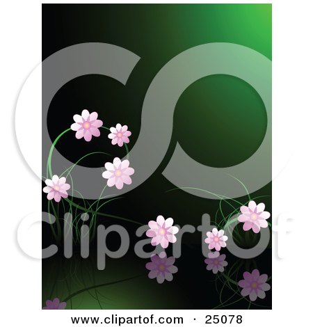 Clipart Illustration of Pink Flowers Blossoming And Reflecting On Still Waters Of A Pond In Green Moon Light by elaineitalia