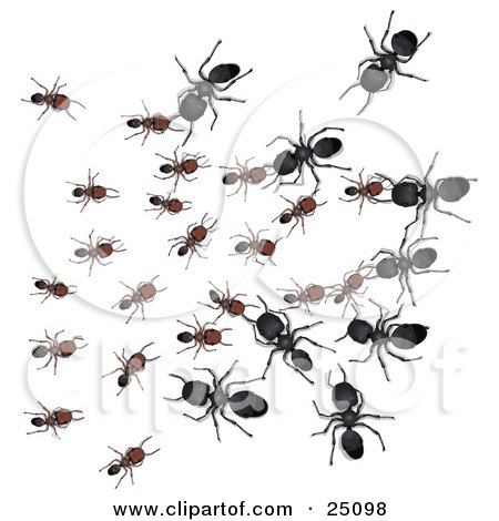 Clipart Illustration of Large Black Worker Ants Attacking Smaller Brown Ants While At War by Leo Blanchette