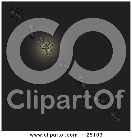 Clipart Illustration of a Diagonal Line Of Worker Ants Crossing A Black Surface At Night, One Glowing Like A Lantern by Leo Blanchette