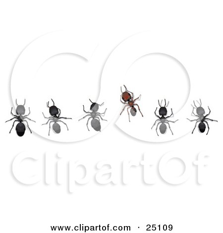Clipart Illustration of a Different Brown Ant Standing Out From A Horizontal Line Of Black Worker Ants by Leo Blanchette