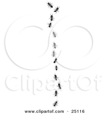 Clipart Illustration of Worker Ants Following A Leader In A Single File Vertical Line by Leo Blanchette