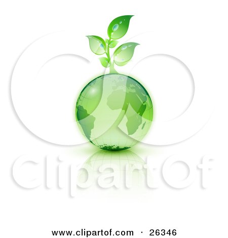 Clipart Illustration of a Green Seedling Plant Sprouting From A Green Earth Over A Reflective White Surface by beboy